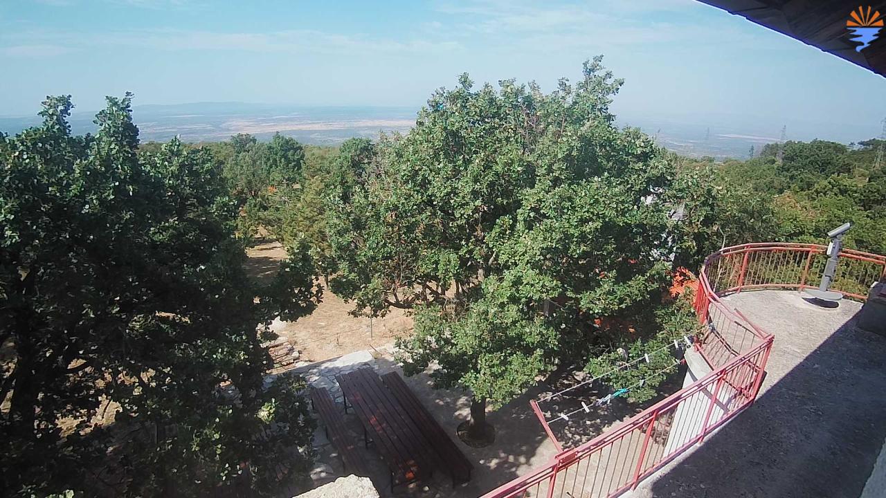 Promina