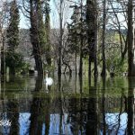 Visok vodostaj Krke poplavio dio Visovca