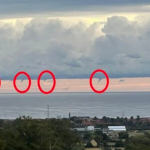 Rijetka pojava pijavica na Baltičkom moru