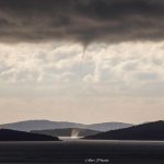 Veljača je bila iznadprosječno topla, uz obalu i oborinski bogata